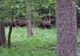 VIDEO Campioana Gloria Buzău a fost învinsă cu 2-0 de Foresta Suceava