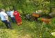 Tragedie. Un bărbat a murit strivit de un tractor FOTO