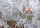 Informare meteo de vreme rece, ninsori, polei și vânt
