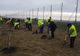 S-a dat startul campaniei de plantare de copaci în județul Suceava FOTO