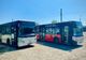 Circulația autobuzelor TPL a revenit la programul normal