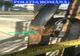 Polițiști, criminaliști și un medic veterinar, parteneri într-o misiune de suflet