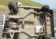 Era atât de beat încât s-a răsturnat cu mașina