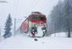 Autoturism lovit de tren la Dărmănești