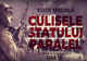 Culisele statului paralel: Revoluție sau lovitură de stat? Am luptat pentru LIBERTATE sau am fost omorâți pentru a fi LIBERI?