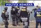 Percheziţii în Mureş, Tulcea, Constanța, Suceava şi Bihor la hoţi de lemne