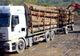 Material lemnos și mașini în valoare de peste 50.000 euro, confiscate de polițiști