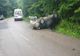 Autoturism răsturnat la Capu Câmpului. Doi minori au ajuns la spital
