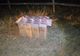 Ţigări de contrabandă în valoare de aproximativ 23.500 lei confiscate la frontiera de nord
