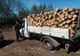 Dosar penal, material lemnos confiscat și vehicul în valoare de 30.000 Euro indisponibilizat pentru transport ilegal de lemn 