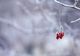 Prognoza meteo 28 ianuarie. Temperaturi de primăvară - condiții de polei