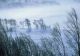 Avertizare meteo: Cod galben de vânt puternic, în două județe din Moldova