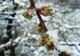 Vremea 23 februarie - Temperaturi în scădere în majoritatea zonelor
