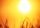 Prognoza meteo 28 iunie. Caniculă peste România - temperaturile urcă la 36 de grade