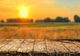 August - cea mai însorită și călduroasă lună din an. Ce temperaturi record ne așteaptă