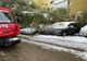 Copac căzut peste mașini în Suceava