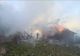 Două femei au suferit atac de panică când au văzut ca le arde gospodăria! Focul a pornit de la o instalație de iluminat ornamentală