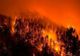  Sprijin financiar pentru refacerea potențialului forestier afectat de incendii, de fenomene meteorologice nefavorabile