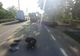 Carambol cu patru autovehicule pe raza localității Plopeni